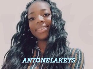 ANTONELAKEYS