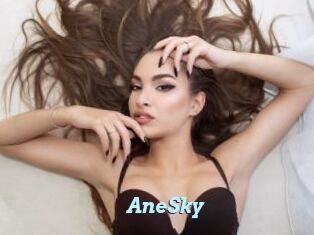 AneSky