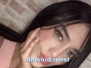 Antonia_sweet