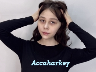 Accaharkey