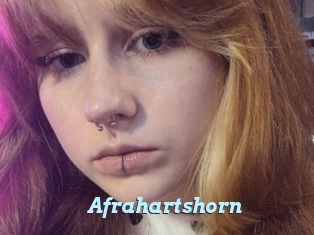 Afrahartshorn