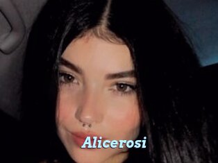 Alicerosi