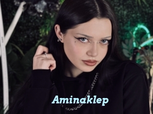 Aminaklep