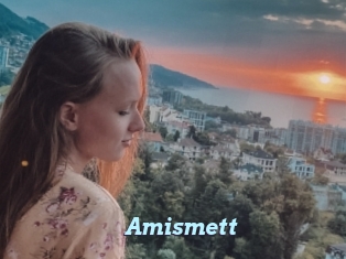 Amismett