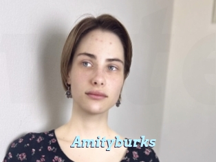 Amityburks