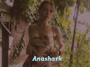 Anashark