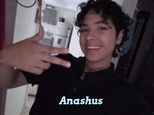 Anashus