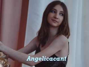 Angelicacant