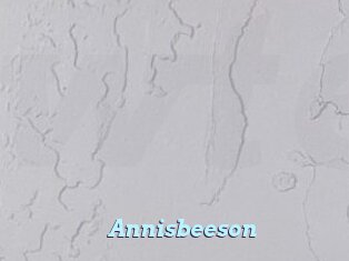 Annisbeeson