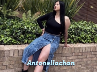 Antonellachan