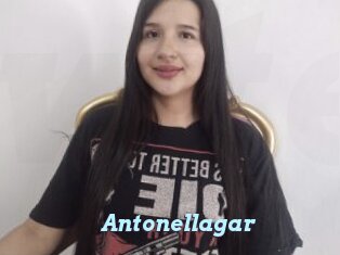 Antonellagar