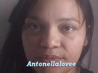 Antonellalovee