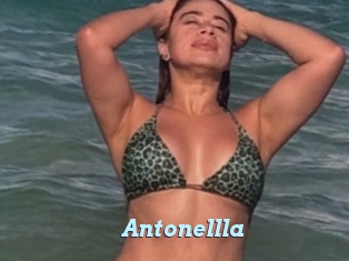 Antonellla