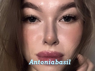 Antoniabasil