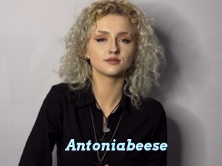 Antoniabeese