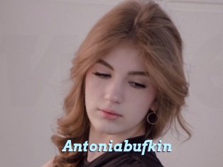 Antoniabufkin