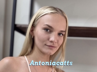 Antoniacatts