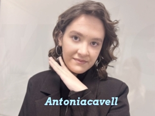 Antoniacavell