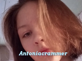 Antoniacrammer