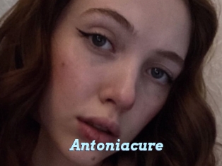 Antoniacure