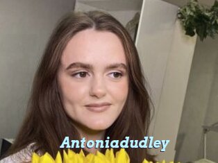 Antoniadudley