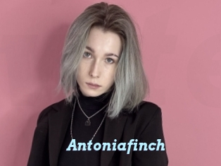 Antoniafinch