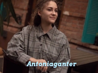 Antoniaganter