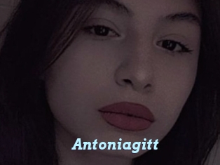 Antoniagitt