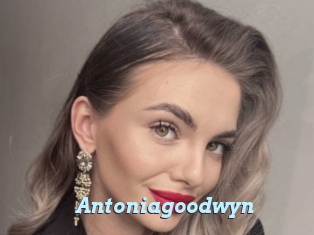 Antoniagoodwyn