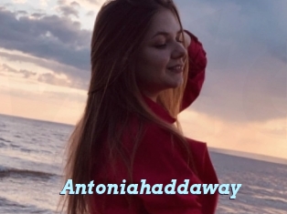 Antoniahaddaway