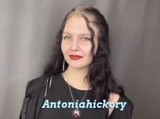 Antoniahickory