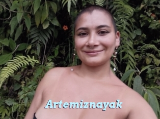 Artemiznayak