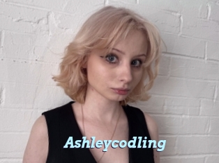 Ashleycodling