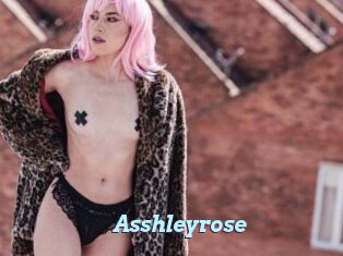 Asshleyrose