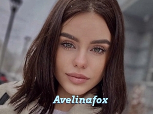 Avelinafox