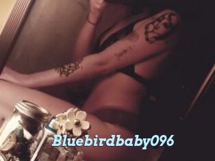 Bluebirdbaby096