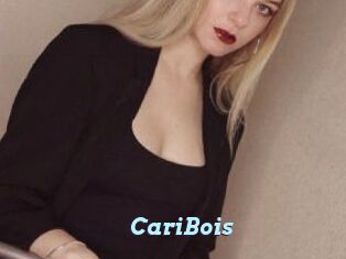 CariBois