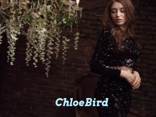 ChloeBird