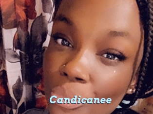 Candicanee