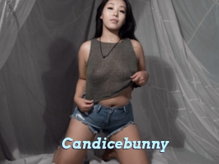 Candicebunny