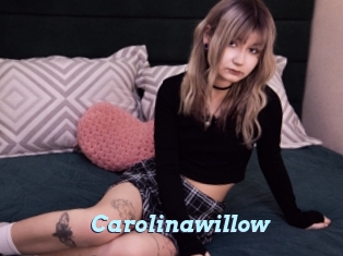 Carolinawillow