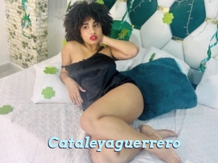 Cataleyaguerrero