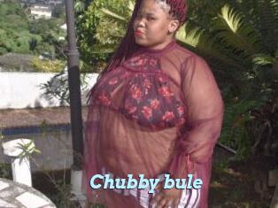 Chubby_bule