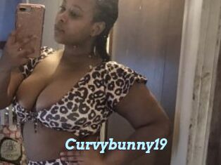 Curvybunny19