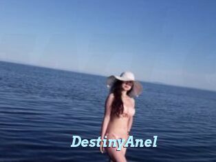 DestinyAnel