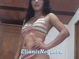 ElianisNoguera