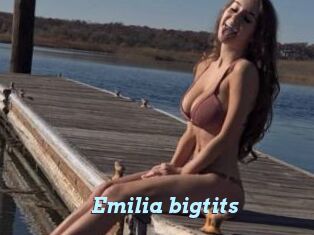 Emilia_bigtits