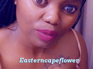 Easterncapeflower