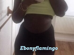 Ebony_flamingo