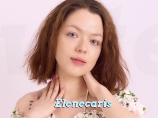 Elenecaris